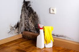 Best Biohazard Mold Removal in Nikiski, AK